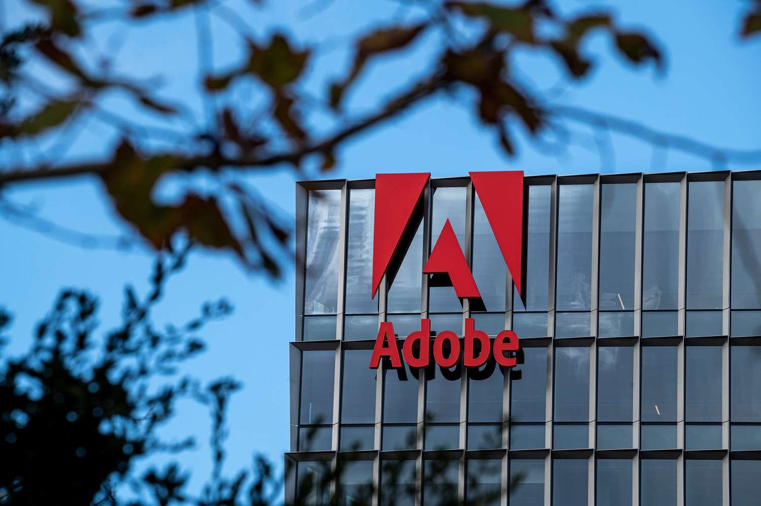 Adobe Entry Level Job for Graduates 2025| Apply Right Now