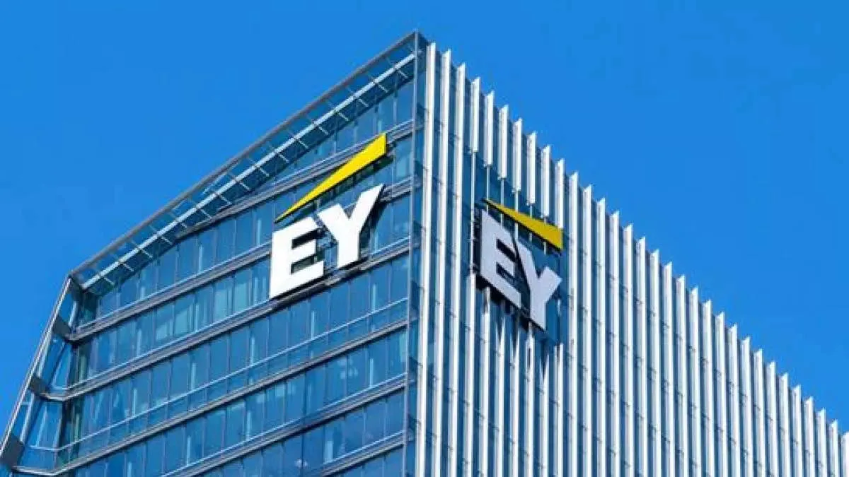 Ey Student and Entry level Internship Program 2025 : Build Your Future with a Global Leader
