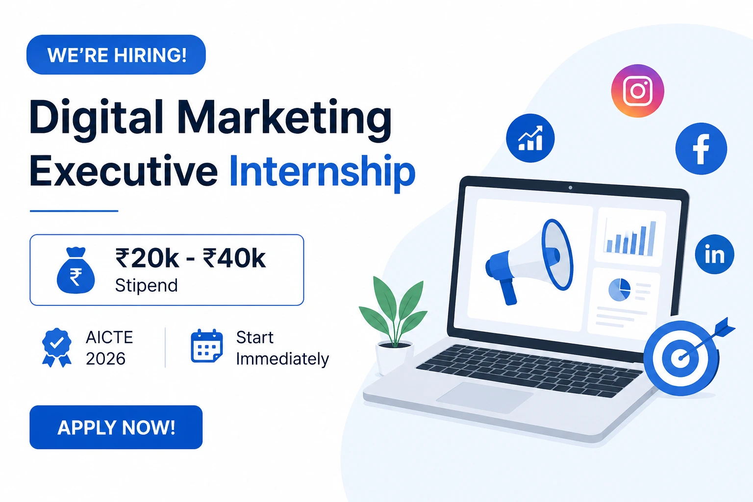 Digital Marketing Executive Internship
